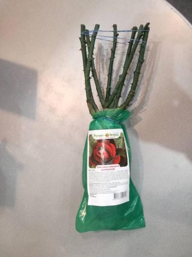 rose plants in bags with picture